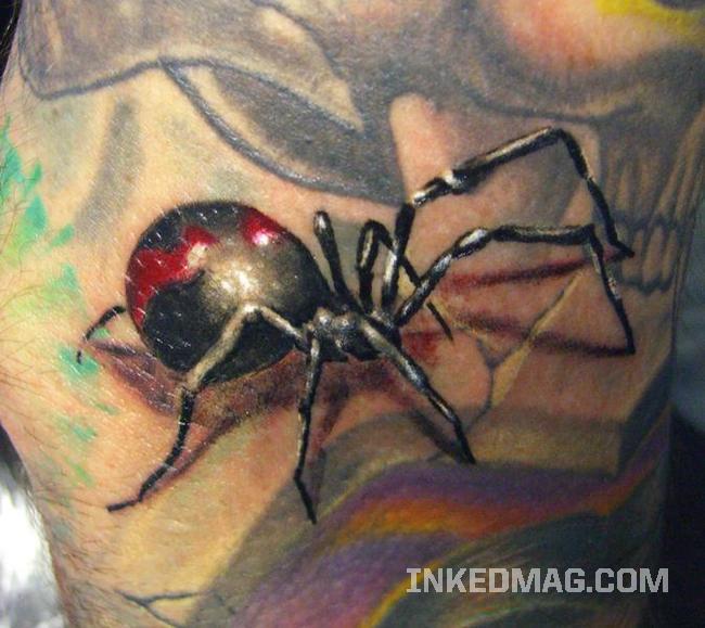 Black tiger face with blue eyes tattoo photo · Traditional style spider with